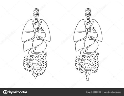 Anatomická kresba dýchacích ciest dieťaťa s vyznačenými mandľami