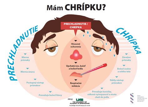 Mapa dýchacích ciest