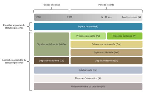 Schéma chirurgickej interrupcie