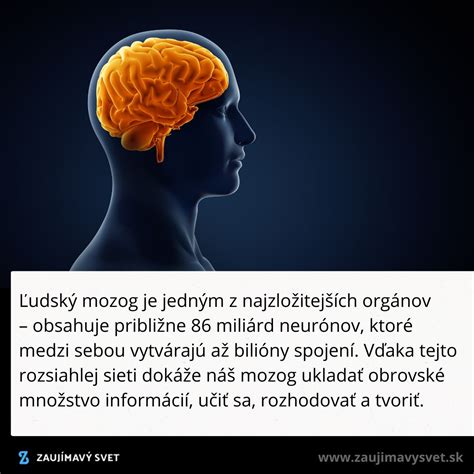 Ilustrácia detského mozgu a neurónov