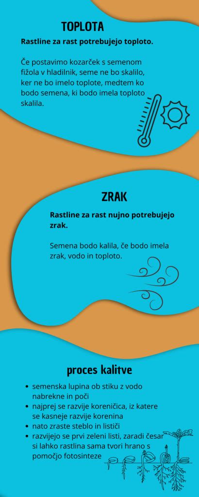 Infografika porovnávajúca chválu za inteligenciu a chválu za snahu
