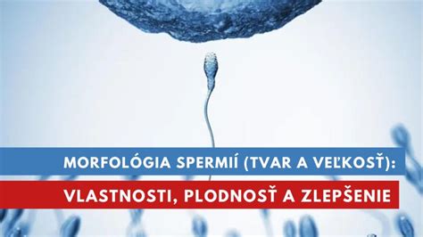 Ako zistiť plodnosť spermií: Kompletný sprievodca