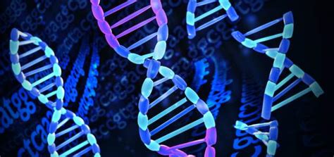 Genetické informácie v DNA
