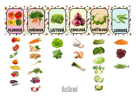 Farebná miska plná rôznych druhov zeleniny