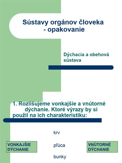 Anatomická schéma samčích reprodukčných orgánov cicavcov