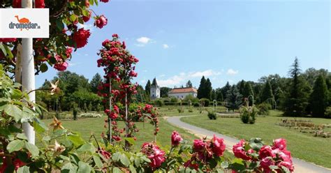 Arborétum v Tesárskych Mlyňanoch