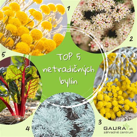 Ilustrácia byliniek na podporu vykašliavania