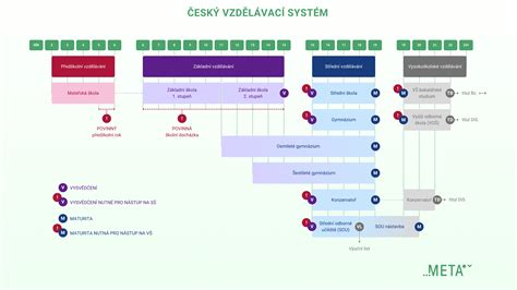 Schéma kostrového systému dieťaťa