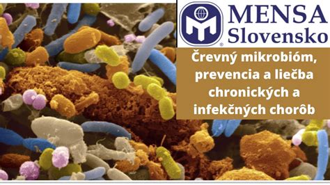 Schéma fungovania črevného mikrobiómu