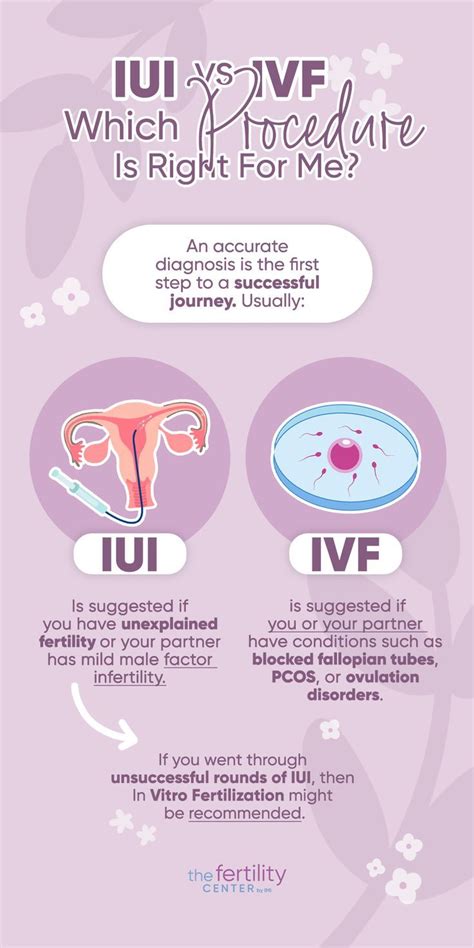 Infografika porovnávajúca IUI a IVF