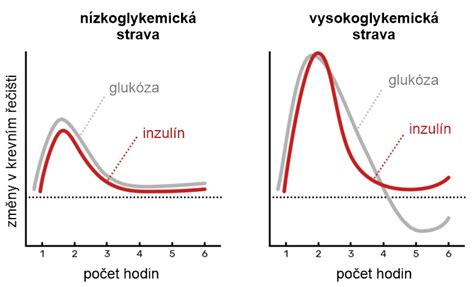 Grafické znázornenie hladiny alkoholu v krvi matky a v materskom mlieku
