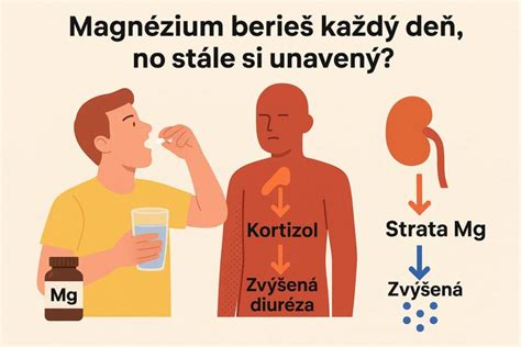 Ilustrácia znázorňujúca rovnováhu medzi energetickým príjmom a výdajom