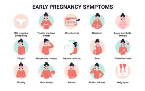 Infografika zobrazujúca bežné príznaky falošnej gravidity