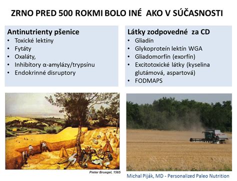 Ilustrácia reprodukčných orgánov hospodárskeho zvieraťa