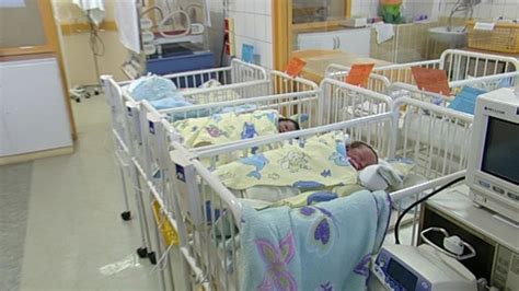 Ilustrácia asistencie pri komplikovanom pôrode kozy