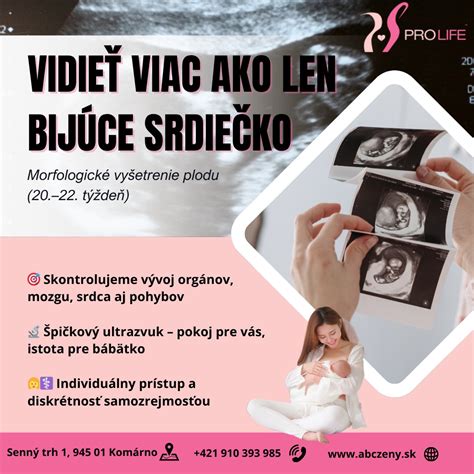 Schémy vývoja mozgu plodu