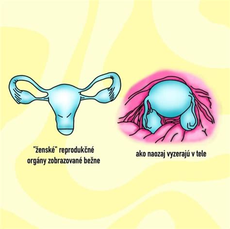 Zväčšená maternica v tehotenstve: príznaky a zmeny