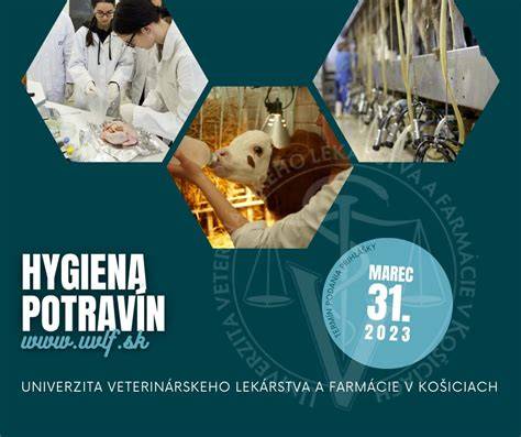 Infografika: Priebeh prerezávania mliečnych zúbkov a postupov preventívnej starostlivosti