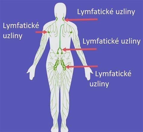 Infografika: Lymfatický systém a uzliny v dieťati
