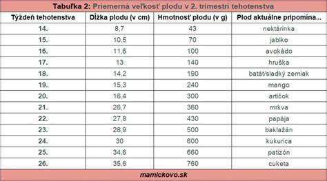 Infografika: Časová os vývoja tehotenstva od počatia po prvý trimester