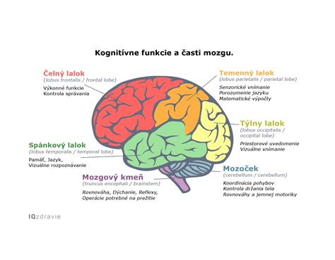 Infografika porovnávajúca rôzne typy cestovných postieľok a ich funkcie