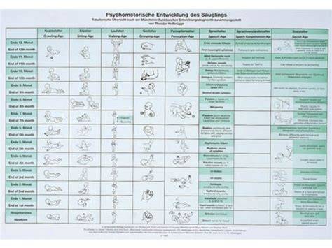 Infografika: Psychomotorický vývin dieťaťa v prvom roku života