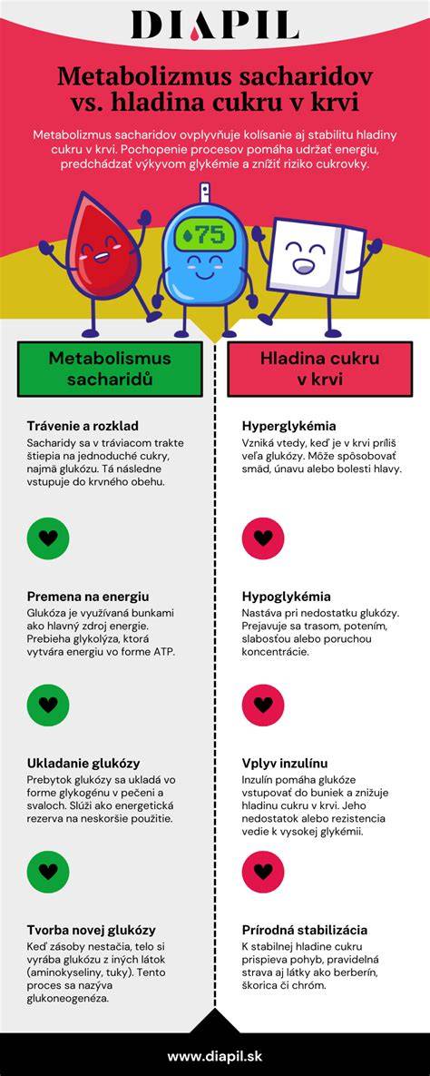 Infografika: Ako funguje metabolizmus pri drastických diétach