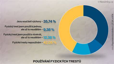 Infografika: Krokový postup riešenia podozrenia na fyzický trest