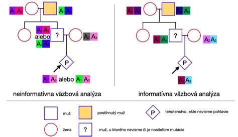 Obrázok: genetické poradenstvo a rodokmeň