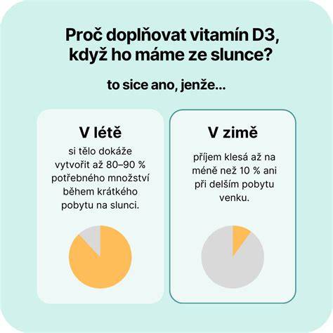 Infografika: Ako funguje vitamín D v tele a hlavné zdroje