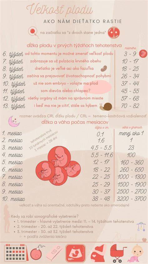 Infografika: Dôvody a formy potratu, dĺžka PN, rekonvalescencia