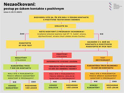 Infografika: Postup exekúcie pri maloletom a rola zástupcu