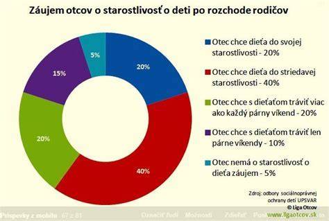 Infografika: Formy styku a starostlivosti dieťaťa na Slovensku