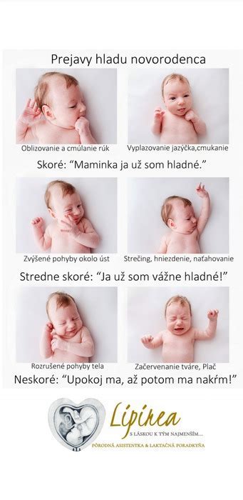 Ako správne držať 6 mesačné dieťa pri kŕmení prvými príkrmami a pri kŕmení fľašou
