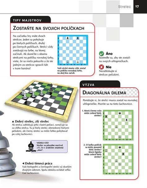 Ako naučiť dieťa hrať šach: základy a praktické tipy