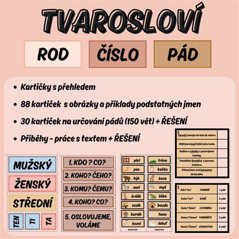 Infografika: Základné pojmy - rod, číslo, pad