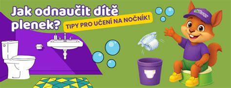 Infografika: Motivácia a pochvala pri učení na nočník