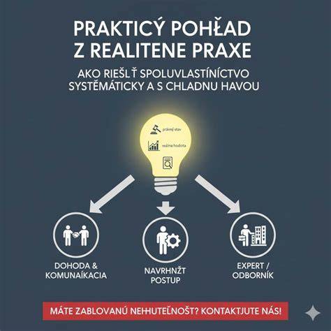 Infografika: Prehľad postupu pred interrupciou a možnosti riešenia