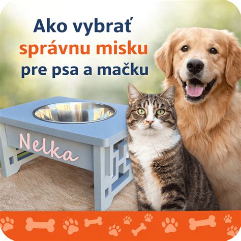 Infografika: Ako vybrať správnu veľkosť plienky pre psa podľa obvodu a hmotnosti
