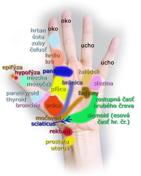 Ruka ponúkajúca podporu druhej ruke