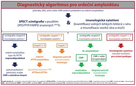 Infografika: Diagnostický algoritmus pri úzkostiach u detí