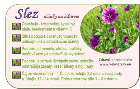 Infografika: Slez nebadaný a jeho účinky na organizmus