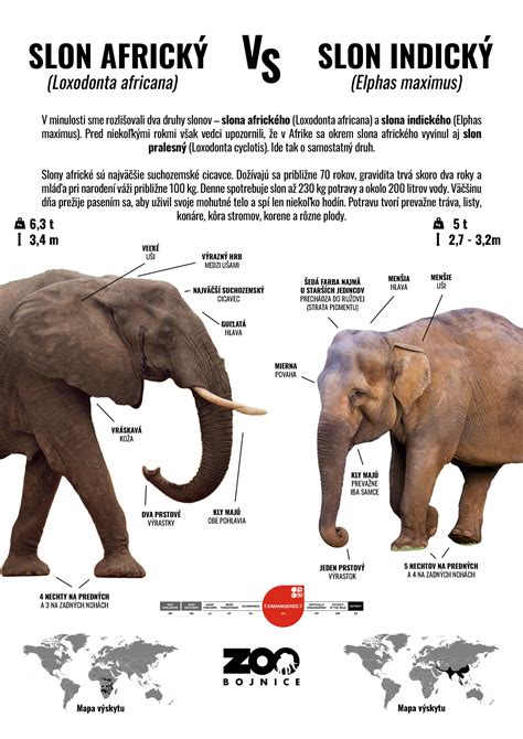 Rozdiel medzi Avent pohárik 6m a 12m: podrobný prehľad a praktické poznámky