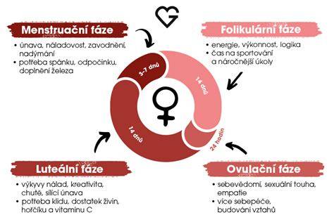 Infografika: ako alchemilka pôsobí na ženský cyklus a maternicu