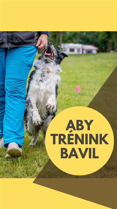 Detaily Becklesova tréninku