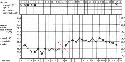 Ilustrácia merania bazálnej teploty