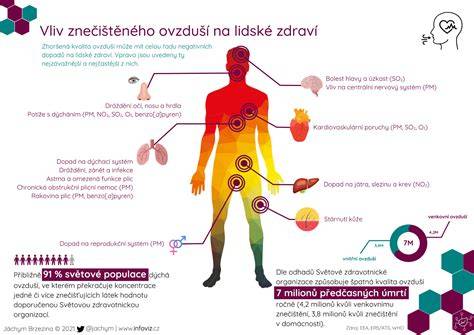Infografika: Výživové zložky ananásu a ich potenciálny dopad na plodnosť