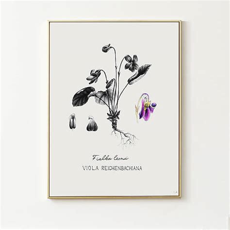 Ilustrácia papierového kočiarika s detailami