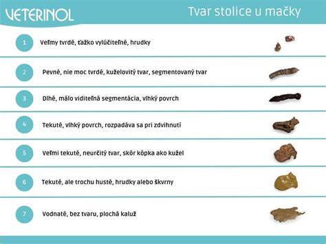 Infografika: Príčiny zelenej stolice u dojčiat a čo robiť
