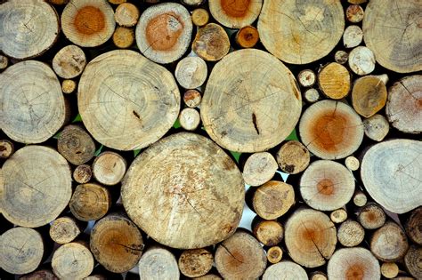 Infografika: Porovnanie materiálov drevených postieľok